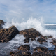 1/2,500 seconds, f/4.0, ISO 200, autofocus